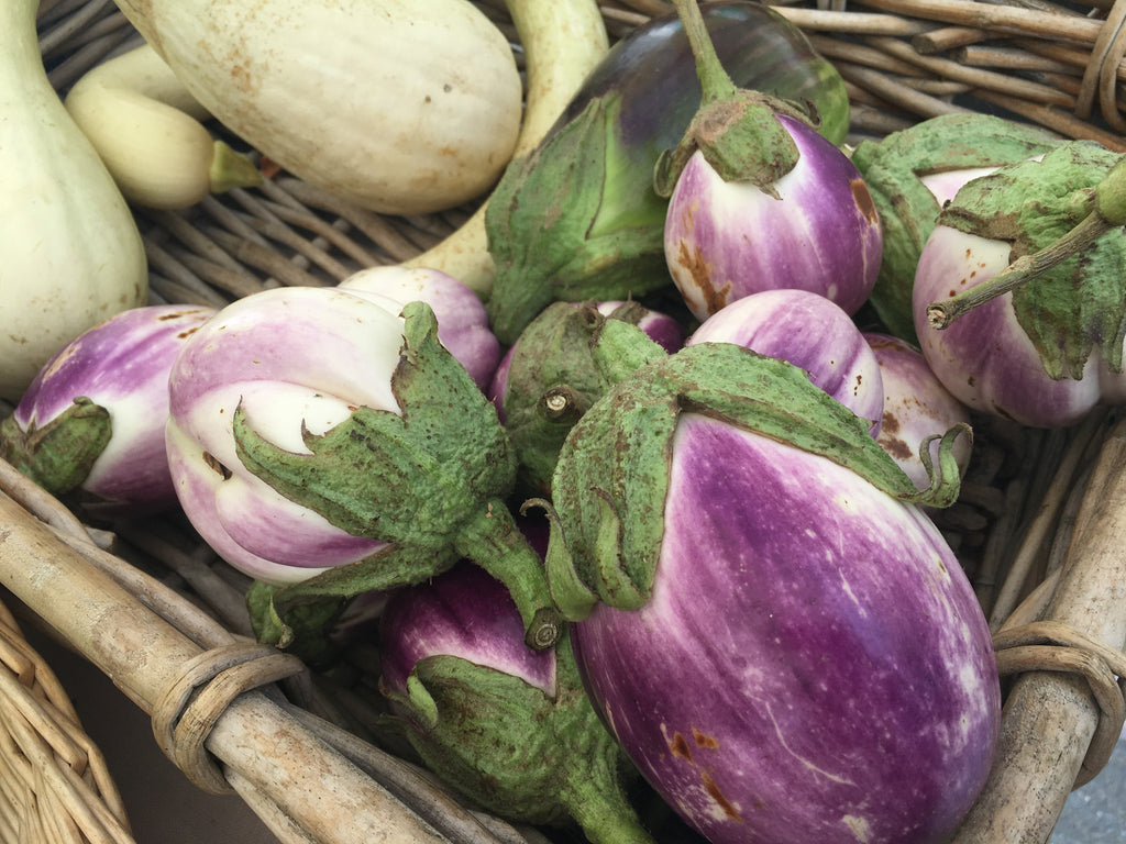 Summer Recipe Contest: Eggplant and Pasta