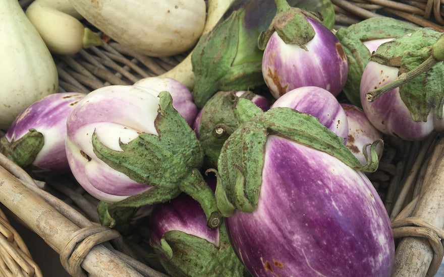 Summer Recipe Contest: Eggplant and Pasta